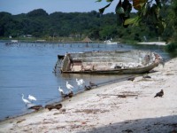 /album/fotos-afrika/sesse-5-small-jpg/